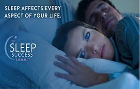 Michael Breus – Sleep Success Summit (2016)