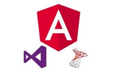 Learn Angular 8 by creating a simple Full Stack Web App