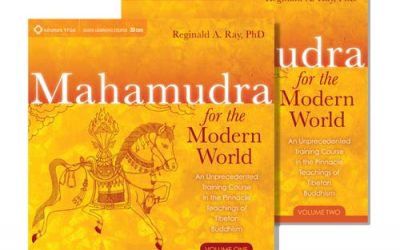 Reginald Ray – Mahamudra for the Modern World