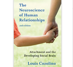 Louis Cozolino – The Neuroscience of Human Relationships: Attachment and the Developing Social Brain (Norton Series on Interpersonal Neurobiology) Second Edition