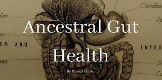 PrimalThrive – Ancestral Gut Health