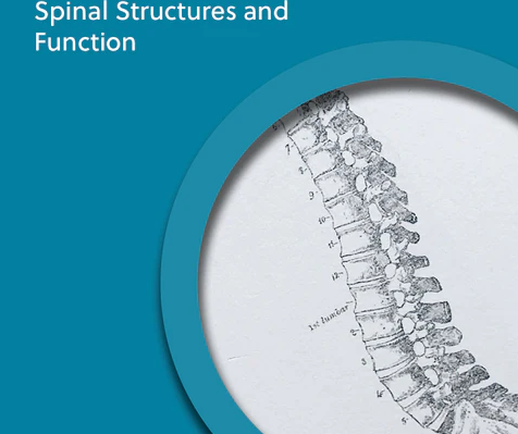 CHEK Institute – Spinal Structures & Function