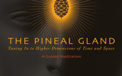 Dr. Joe Dispenza – The Pineal Gland – Tuning In To Higher Dimensions of Time and Space