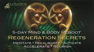Judy Satori – Regeneration Secrets