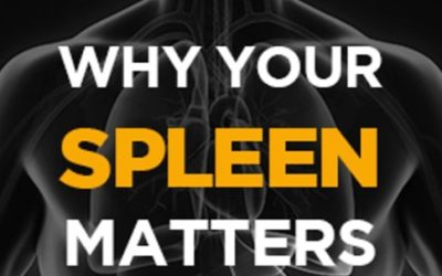 Perry Nickelston – Stop Chasing Pain – Why Your Spleen Matters