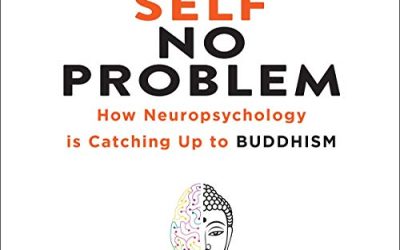 Chris Niebauer – No Self, No Problem: How Neuropsychology is Catching Up to Buddhism