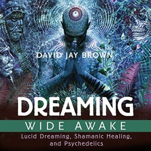 David Jay Brown - Dreaming Wide Awake: Lucid Dreaming, Shamanic Healing, and Psychedelics