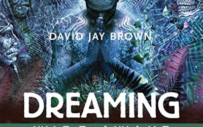 David Jay Brown – Dreaming Wide Awake: Lucid Dreaming, Shamanic Healing, and Psychedelics