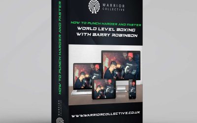 Barry Robinson – How to Punch Harder and Faster