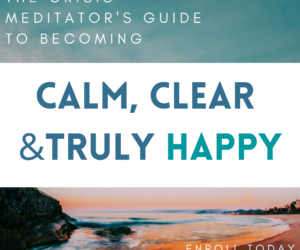 Davidji – Crisis Meditator’s Guide to Becoming Calm, Clear & Truly Happy