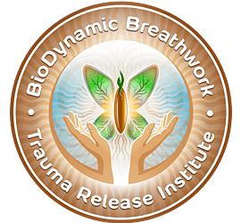 Giten Tonkov – BioDynamic Breathwork & Trauma Release Session