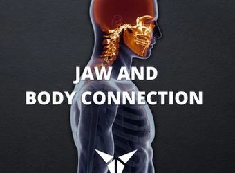 Jaws And Body Connection